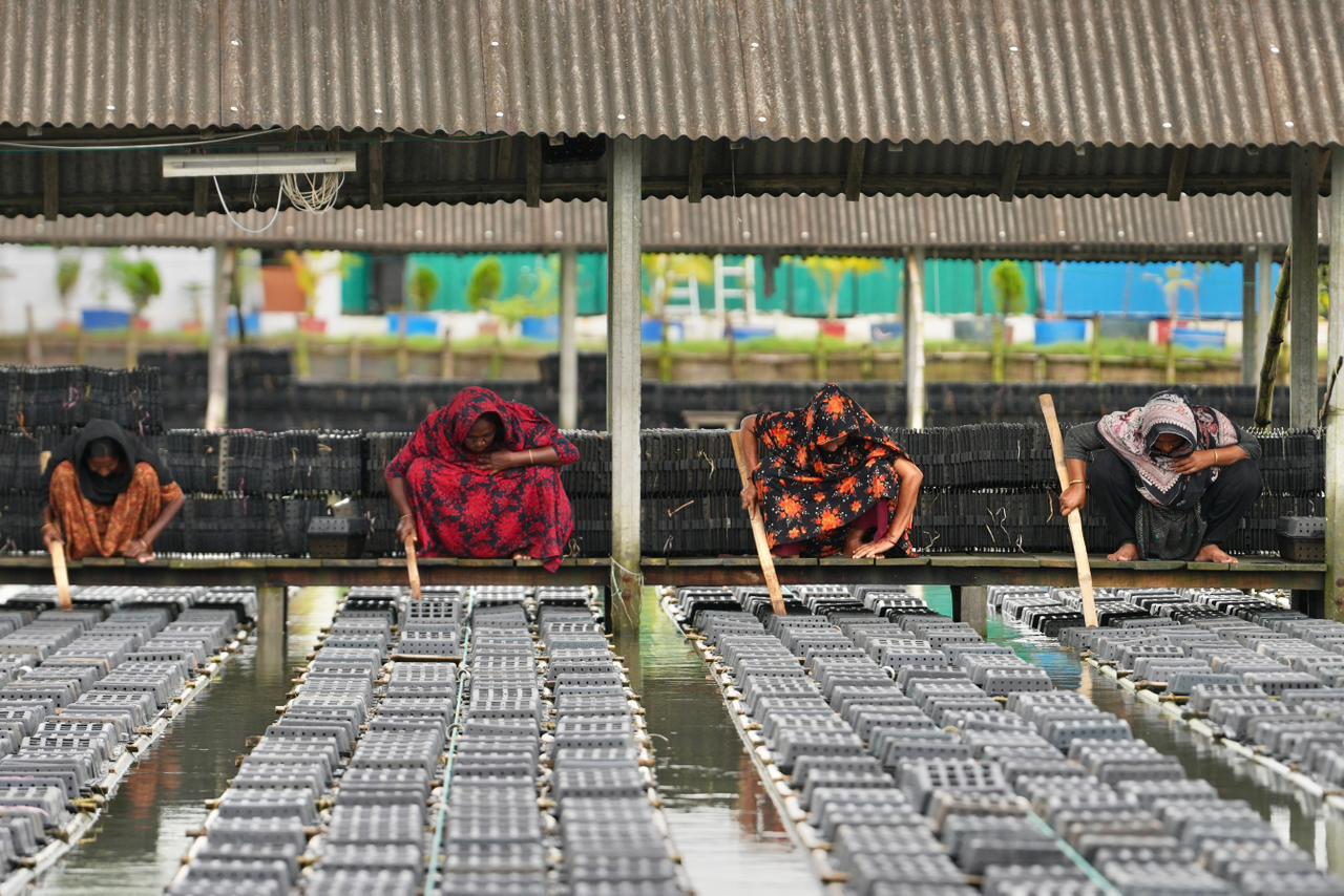 Coastal aquaculture walkway connecting local production to export markets