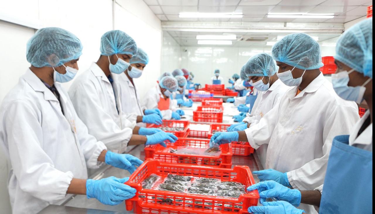 Workers on a HACCP-aligned seafood processing and packaging line